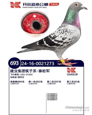 开尔爱心公棚（飞跃队）决赛693名