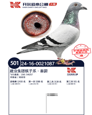 开尔爱心公棚（大棚）决赛501名
