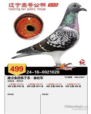 辽宁壹号公棚决赛499名