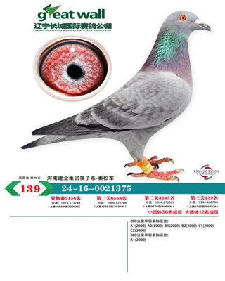 辽宁长城国际公棚决赛139名