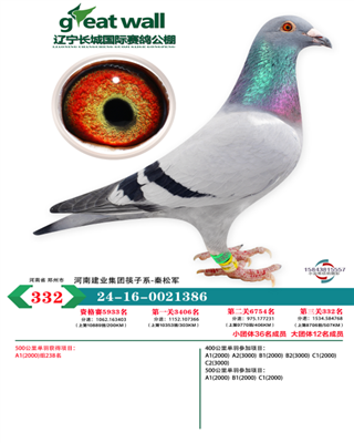 辽宁长城国际公棚决赛332名