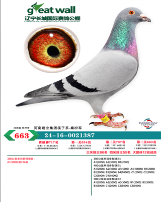 辽宁长城国际公棚决赛663名