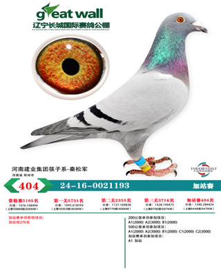 辽宁长城国际公棚加站赛404名