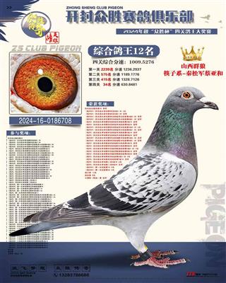 河南众胜寄养棚四关综合鸽王12名