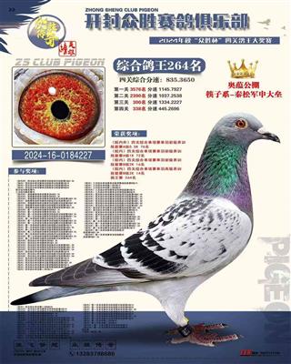 河南众胜寄养棚四关综合鸽王264名
