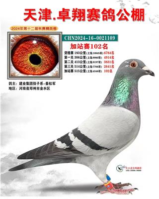 天津卓翔赛鸽公棚加站赛102名