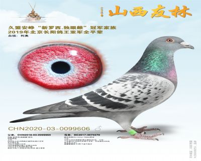 久盟“新罗西x独眼雌”直孙