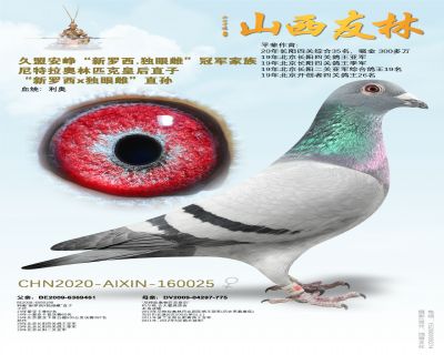 久盟“新罗西x独眼雌”直女
