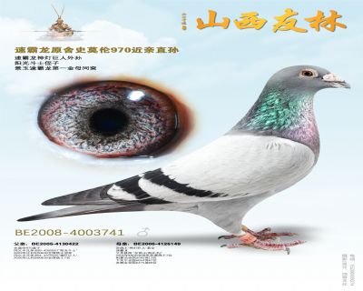 史莫伦3741