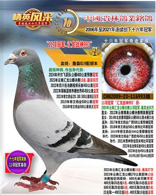 2009年汇龙公棚11项冠军