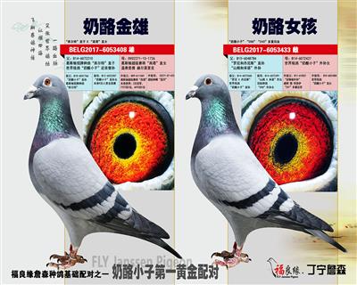 奶酪第一黄金配对“奶酪小子”多重回血