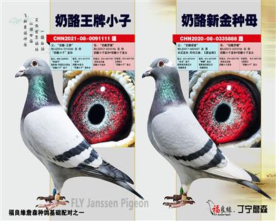 葛斯顿·“奶酪小子”多重回血