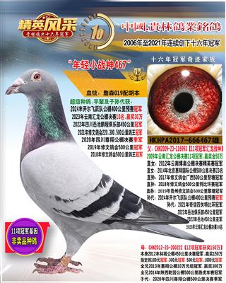 11项冠军直子467