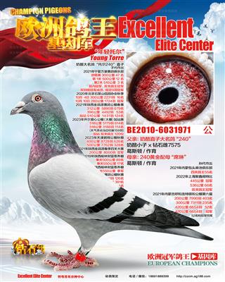 奶酪240直子（非卖品）