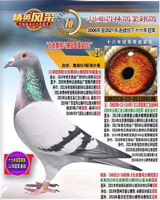 11项冠军直女001