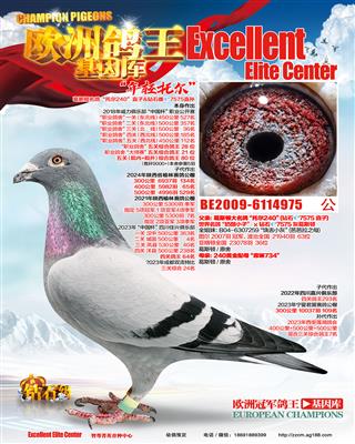 奶酪240直子（非卖品）