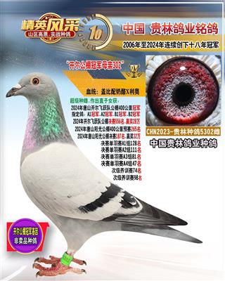 开尔公棚冠军母亲