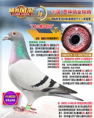 开尔公棚冠军父亲