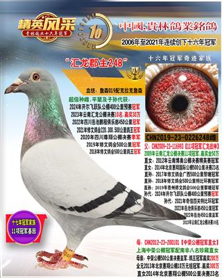 11项冠军珍藏直女248