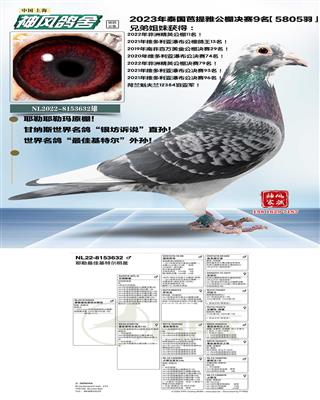 芭提雅决赛9名