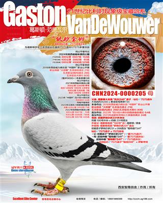 威力鸽王半姐妹