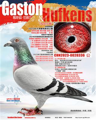公棚400公里9名