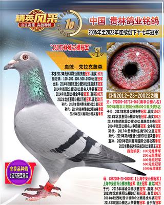 2012年林城公棚冠军