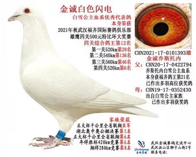 白雪公主血系赛绩种雄