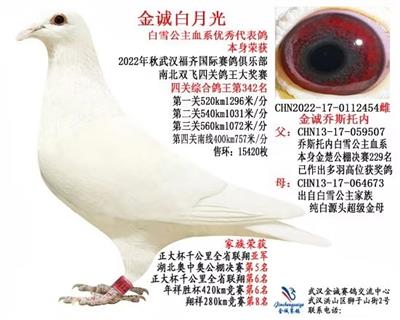 金诚白雪公主千公里家族