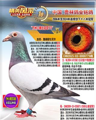 2015年万州公棚冠军