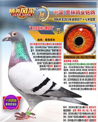 2017年宏艺翔公棚冠军