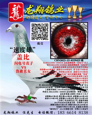 近亲盖比雄出售