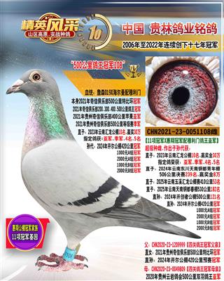 2021年奇信四关特比环冠军