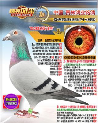 21年奇信四关特比环冠军父亲