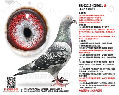 【奥林匹克博尔特】