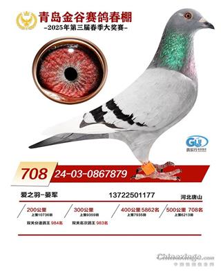 2025年青岛金谷春棚