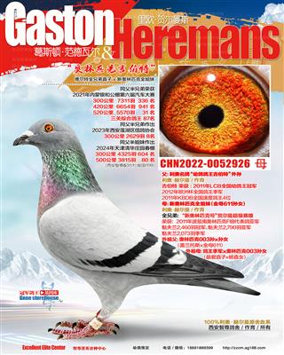 奥林匹克吉伯特