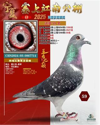 2025年春塞上江南公棚