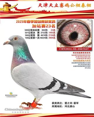 2025年天立春棚