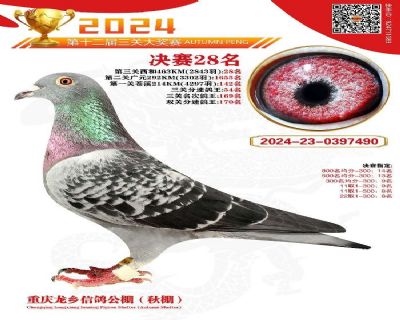 重庆龙乡公棚决赛28名