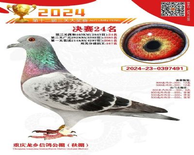 重庆龙乡公棚决赛24名