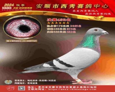 贵州西秀公棚决赛432名