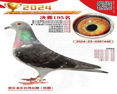 重庆龙乡公棚决赛195名