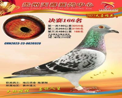 贵州天喜公棚决赛166名