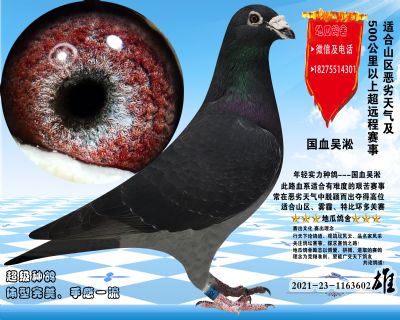 国血吴淞汪种