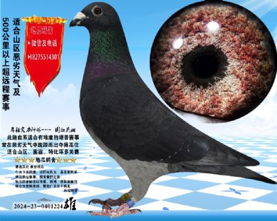 没起名