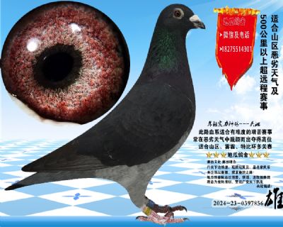 没起名
