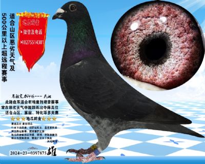 没起名