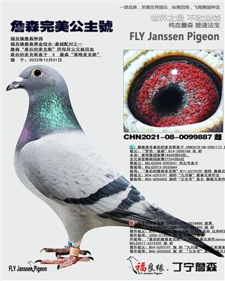 詹森最后的麦克斯同母异父兄妹回血