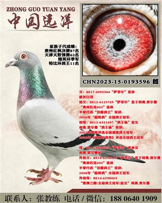 两年不出成绩包换